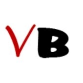 VIRU BILDEX OÜ